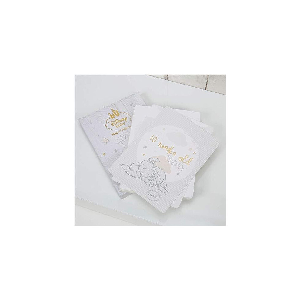 Baby Dumbo 24 Milestone Cards For Keepsake Photos Disney