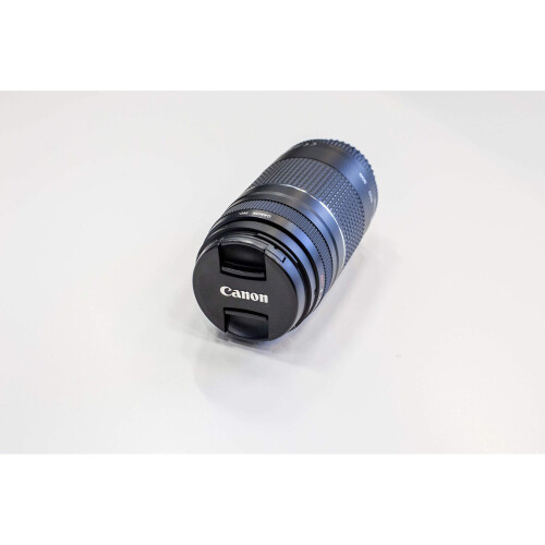 Canon EF 75-300mm f/4-5.6 III 2