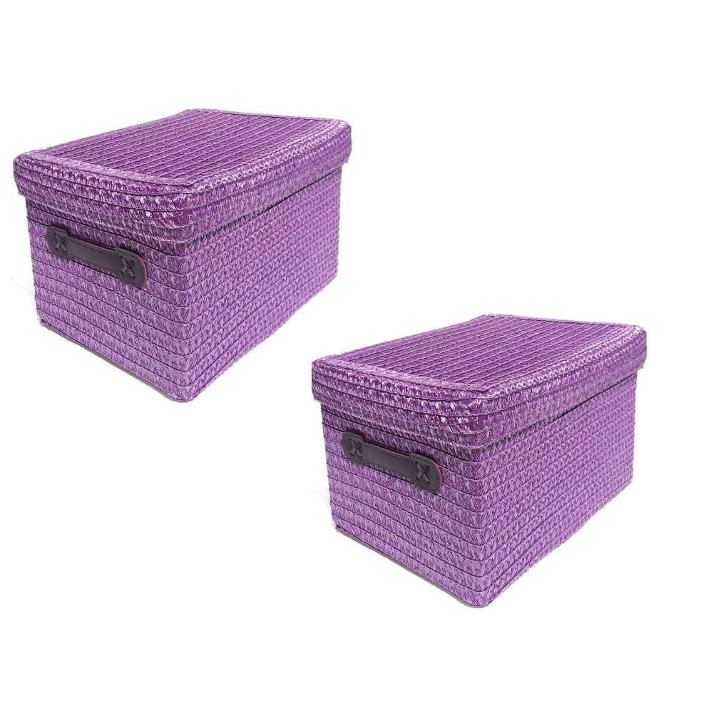 Set Of 2 Coloured Storage Basket Organiser With Lid 24 X 18 X 18 Cm