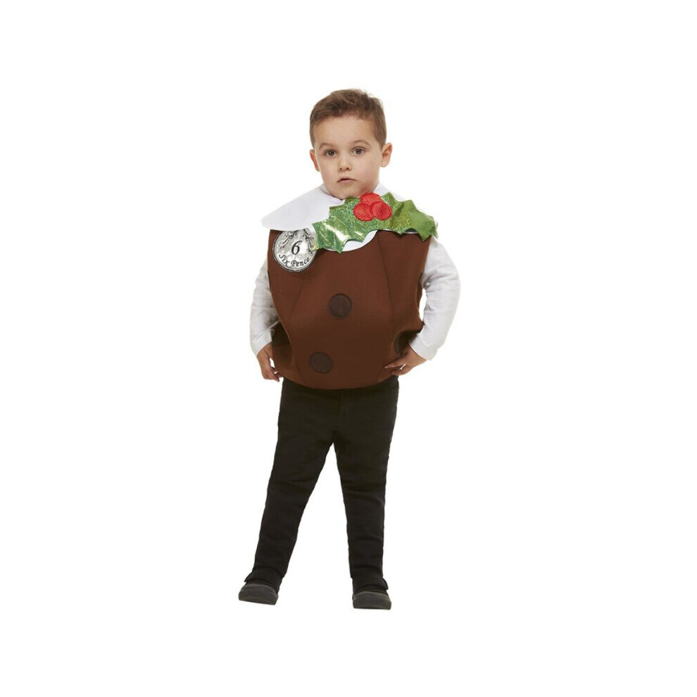 Childrens Christmas Pudding 3D Fancy Dress Costume (Age 8-12)