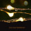 33ft 100 LED Solar-Powered String, 8 Twinkle Modes Warm White Fairy φώτα 3