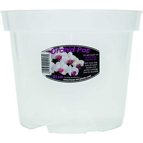 Clear Orchid Pot 21 cm