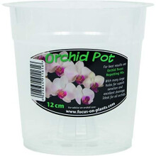 Clear Orchid Pot 12cm