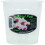 Clear Orchid Pot 12cm 1