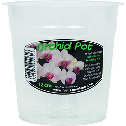 Clear Orchid Pot 12cm