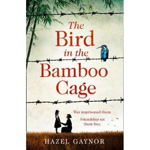 The Bird in the Bamboo Cage