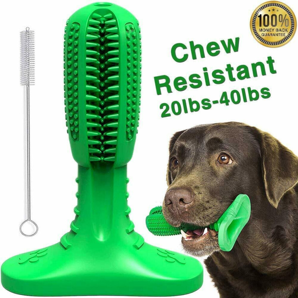 Dog Toothbrush Stick Dog Teeth Cleaning Chew Toys Pet Oral Dental Care Cleaner