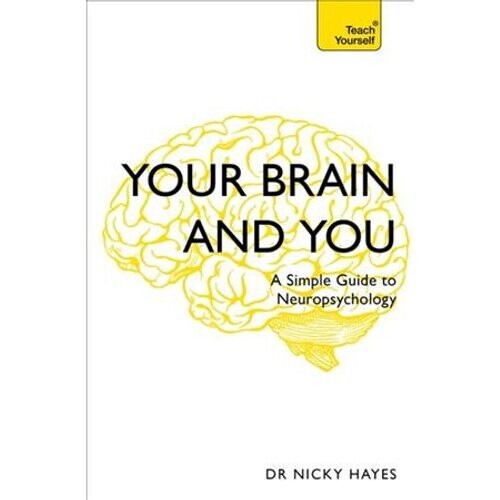 Your Brain and You