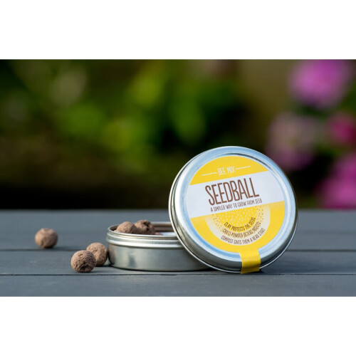 Seedball - Bee Mix 2