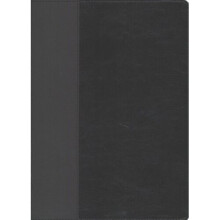 NLT Every Man's Bible, Large Print, Black/Onyx, Indexed