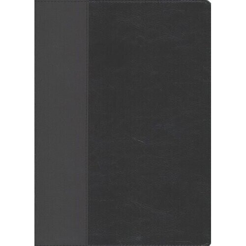 NLT Every Man's Bible, Large Print, Black/Onyx, Indexed