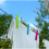 24pk Dolly Pegs | Extra Strong Plastic Hanging Cloth Pegs 6