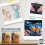 SOL 500pk Elastic Bands | 2 x 250pk Assorted Coloured Bands 5