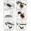 400/1000+3000/8000 Grit Premium Whetstone Cut Sharpening Wet Stone Set 10