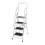 Genius Safety Step Ladder 2