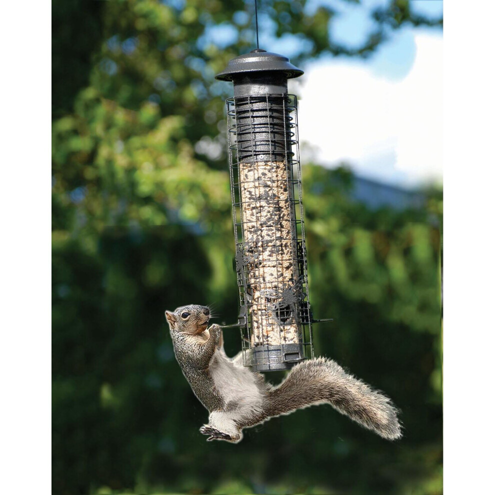 Dragonfly Squirrel-Resistant Tube Bird Feeder Stylish