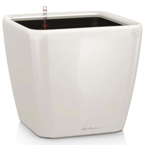 LECHUZA QUADRO LS 43 White High Gloss Poly Resin Floor Self-watering Planter with Substrate H40 L43 W43 cm
