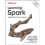 Learning Spark 1