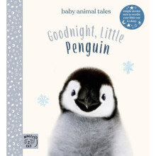 Goodnight, Little Penguin - Book