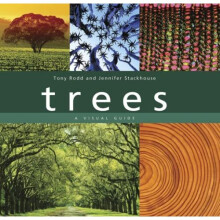 Trees: A Visual Guide