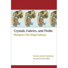 Crystals, Fabrics, and Fields: Metaphors That Shape Embryos