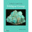 Collector's Guide to the Feldspar Group 1