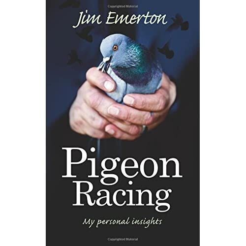 Pigeon Racing: My Personal Insights
