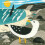 Bothy threads Silken Long Stitch Kit - Silken Scenes: Seagulls 1
