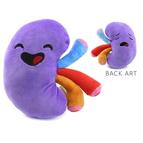 Kidney plush on sale