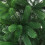 VidaXL vidaXL Faux Christmas Tree Lifelike Needles Injection 150cm Green Xmas Decor 3