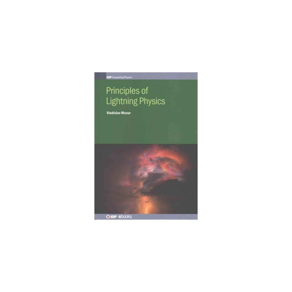 Principles of Lightning Physics