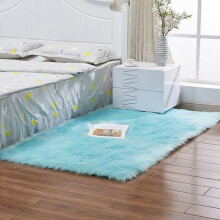 (Light Blue, 40*60cm) Washable Fluffy Rug Anti-Skid Shaggy Rugs Carpet Living Room Bedroom Floor Mats