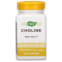 Nature's Way, Cholin, 500 mg, 100 vegane Tabletten