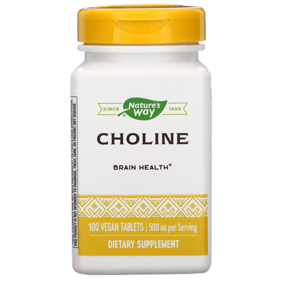 Nature's Way , Choline, 500 Mg, 100 Vegan Tablets