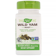 Nature's Way, Wilde Yamswurzel, 425 mg, 100 Vegane Kapseln