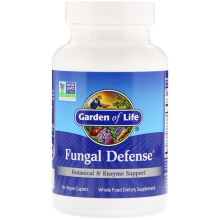 Garden of Life, Fungal Defense, 84 Vegane Kapseln