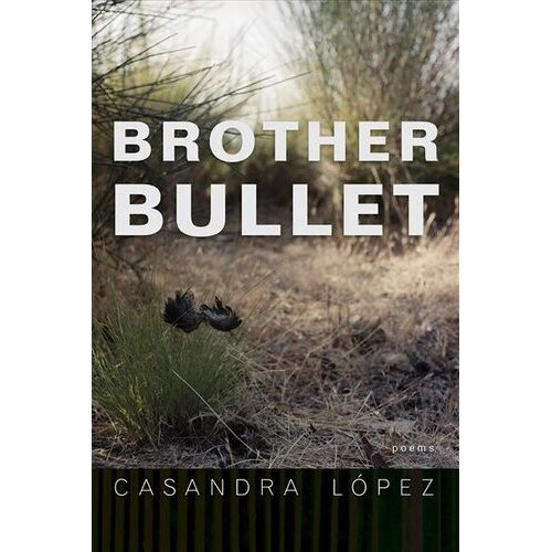 Brother Bullet