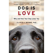 Dog Is Love