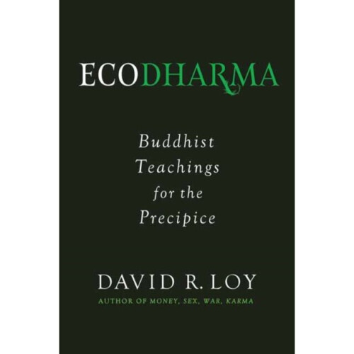 Ecodharma by Loy & David