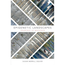 Epigenetic Landscapes by Squier & Susan Merrill