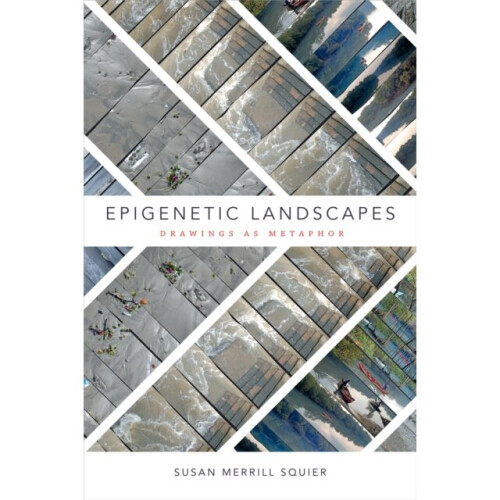 Epigenetic Landscapes by Squier & Susan Merrill