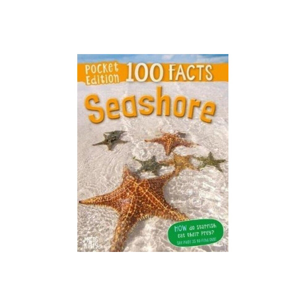 Miles Kelly Publishing Seashore