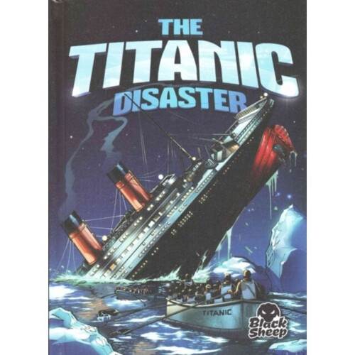 Titanic Disaster by Stone & Adam