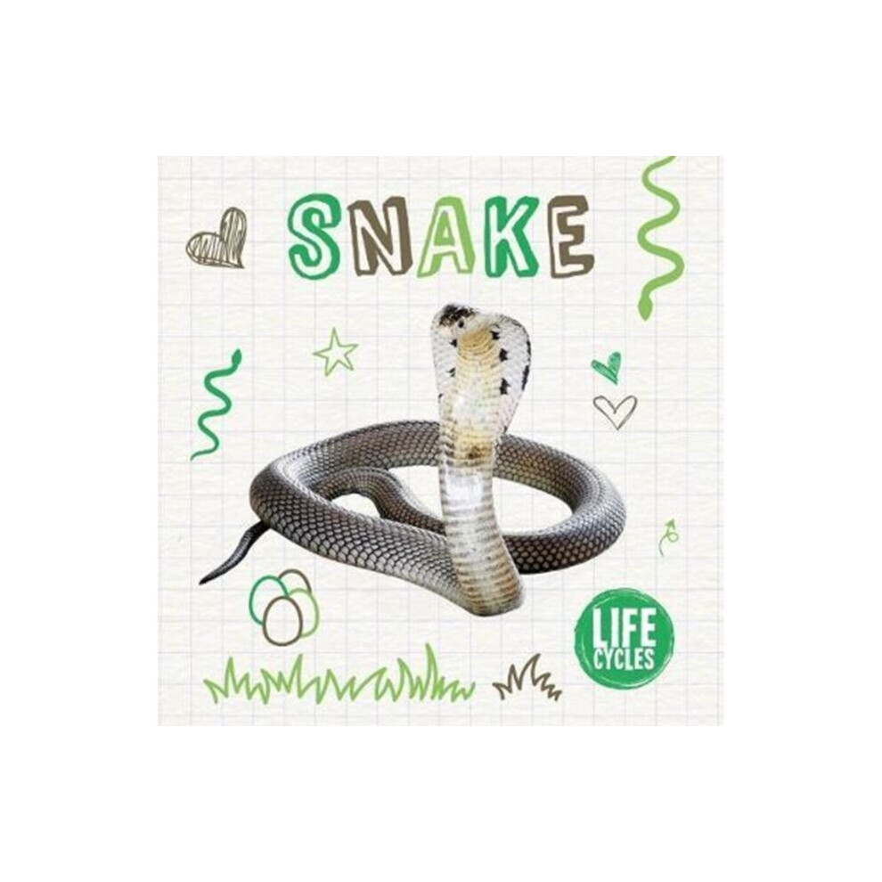 Booklife Publishing Snake By Duhig & Holly