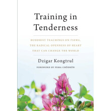 Training in Tenderness by Kongtrul & Dzigar