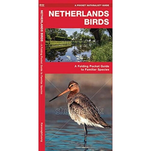 Netherlands Birds by Kavanagh & James