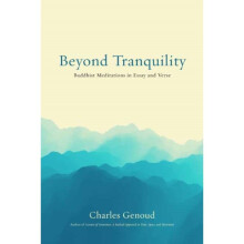 Beyond Tranquility by Genoud & Charles