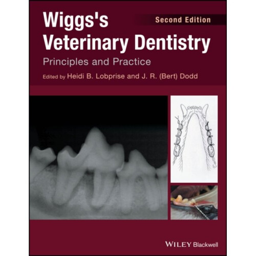 Wiggss Veterinary Dentistry