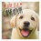 Love is a Labrador by Ellis & Charlie 1