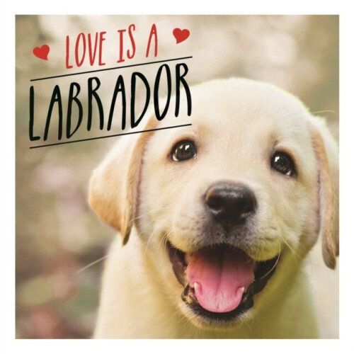 Love is a Labrador by Ellis & Charlie